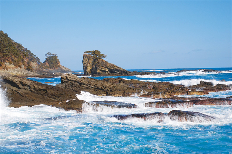 Moshi Coast