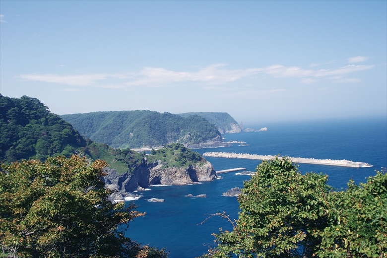 Kuma-no-Hana