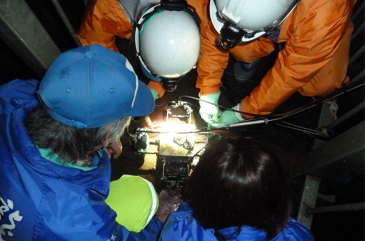 Cleaning of Underwater Lake Lights