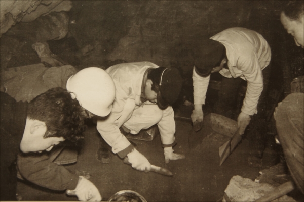 Excavational Investigation