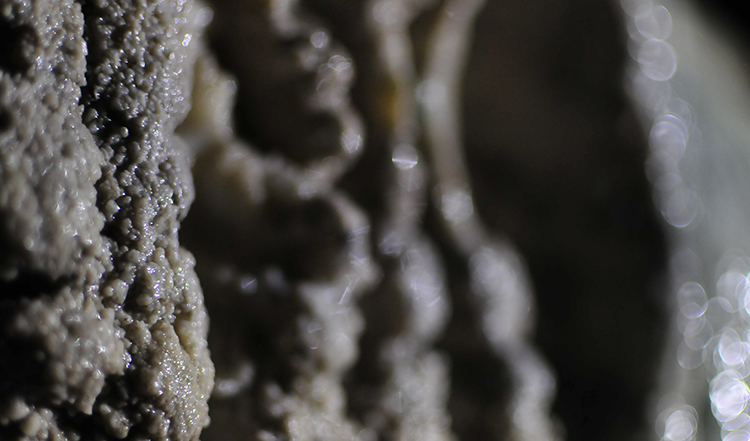 洞窟珊瑚