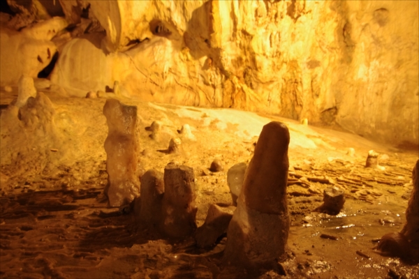 ⑤Arrays of Stalagmites