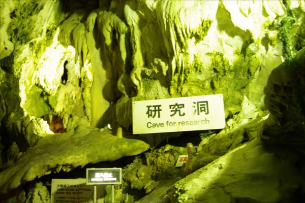 ⑧Research Cave