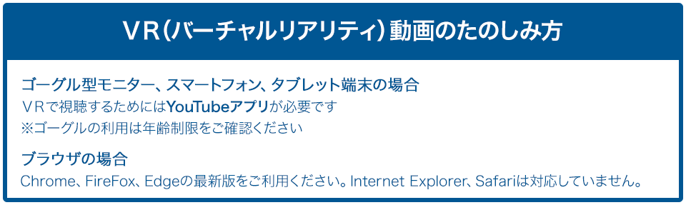 VR動画の楽しみ方