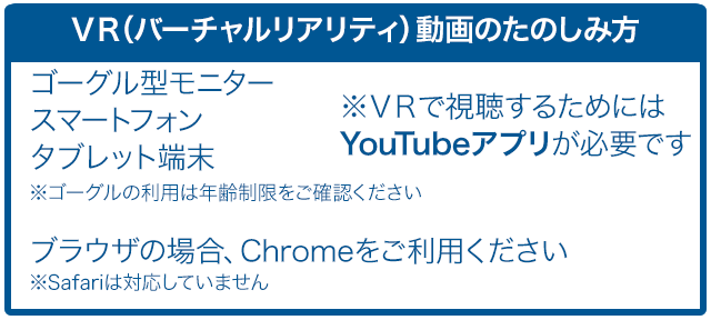 VR動画の楽しみ方